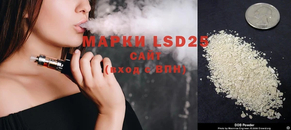 индика Аркадак