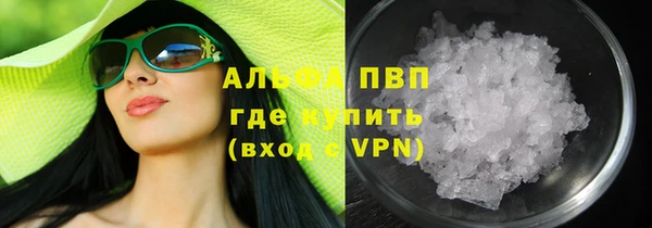 индика Аркадак