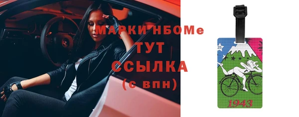индика Аркадак