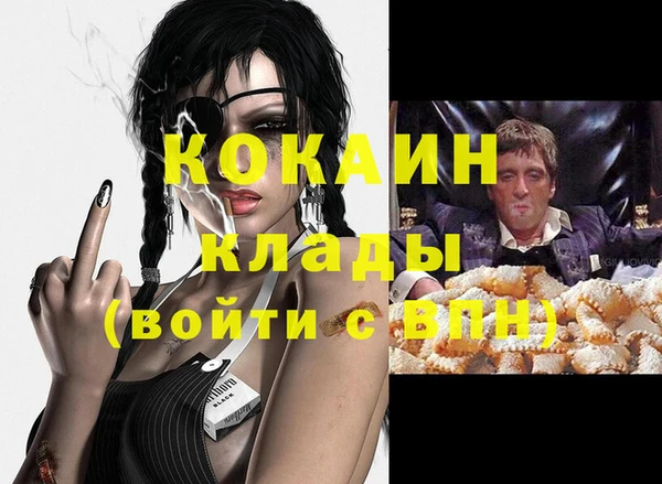 индика Аркадак