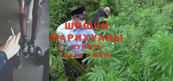 индика Аркадак
