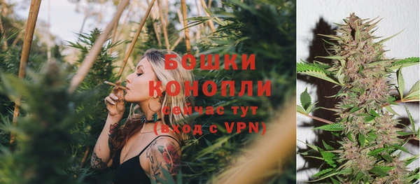ПСИЛОЦИБИНОВЫЕ ГРИБЫ Армянск