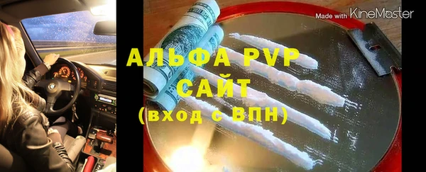 индика Аркадак
