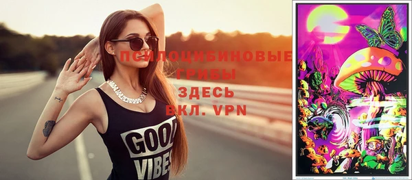 ПСИЛОЦИБИНОВЫЕ ГРИБЫ Армянск