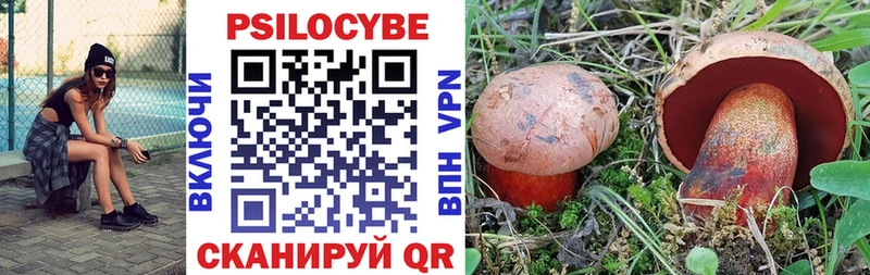 Галлюциногенные грибы Psilocybe  сколько стоит  Чебоксары 